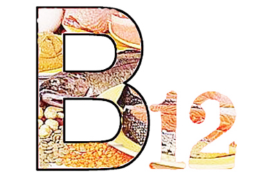 B12 vitamininin səfəri | 40 mövzuda hüceyrə