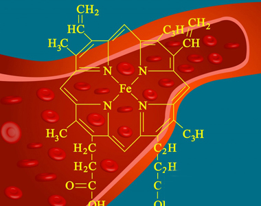 Hemoqlobin molekulu çox xüsusi bir yaradılışa malikdir. 