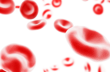 Oksigen daşıyan möcüzə molekul: Hemoqlobin | 40 mövzuda hüceyrə